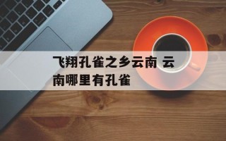飞翔孔雀之乡云南 云南哪里有孔雀