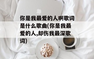 你是我最爱的人啊歌词是什么歌曲(你是我最爱的人,却伤我最深歌词)