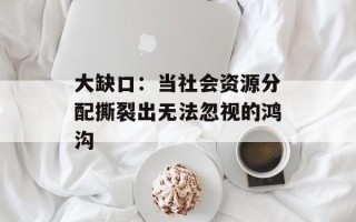 大缺口：当社会资源分配撕裂出无法忽视的鸿沟