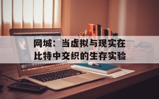 网城：当虚拟与现实在比特中交织的生存实验