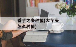 香芋之乡种植(大芋头怎么种植)