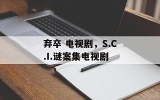 弃卒 电视剧，S.C.I.谜案集电视剧