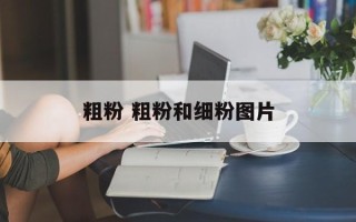 粗粉 粗粉和细粉图片
