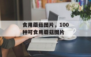 食用蘑菇图片，100种可食用蘑菇图片