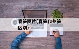春笋图片(春笋和冬笋区别)