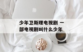 少年卫斯理电视剧 一部电视剧叫什么少年