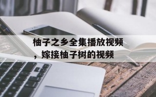 柚子之乡全集播放视频，嫁接柚子树的视频