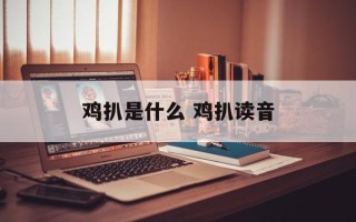 鸡扒是什么 鸡扒读音