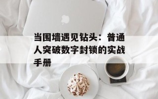 当围墙遇见钻头：普通人突破数字封锁的实战手册