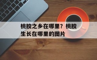 桃胶之乡在哪里？桃胶生长在哪里的图片