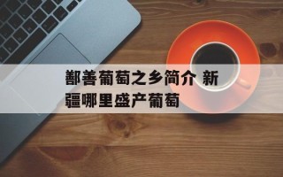 鄯善葡萄之乡简介 新疆哪里盛产葡萄