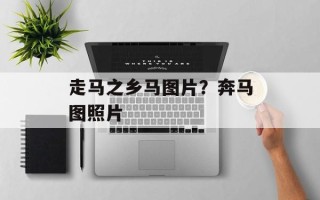 走马之乡马图片？奔马图照片