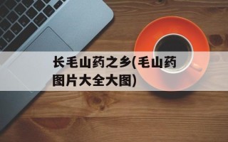 长毛山药之乡(毛山药图片大全大图)