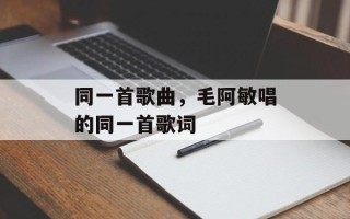 同一首歌曲，毛阿敏唱的同一首歌词