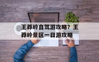 王莽岭自驾游攻略？王莽岭景区一日游攻略