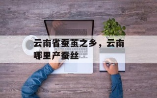 云南省蚕茧之乡，云南哪里产蚕丝