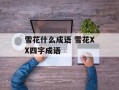 雪花什么成语 雪花XX四字成语