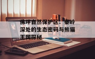 佛坪自然保护区：秦岭深处的生态密码与熊猫王国探秘