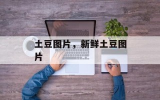 土豆图片，新鲜土豆图片