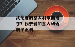 我亲爱的意大利歌曲谱子？我亲爱的意大利语谱子正谱