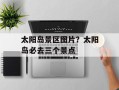 太阳岛景区图片？太阳岛必去三个景点