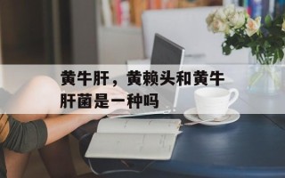 黄牛肝，黄赖头和黄牛肝菌是一种吗