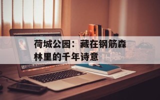 荷城公园：藏在钢筋森林里的千年诗意