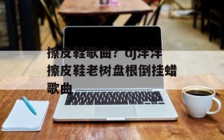 擦皮鞋歌曲？dj洋洋擦皮鞋老树盘根倒挂蜡歌曲