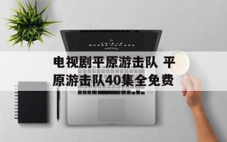 电视剧平原游击队 平原游击队40集全免费