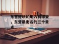 东营好玩的地方有哪些，东营最出名的三个景点