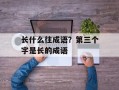 长什么往成语？第三个字是长的成语