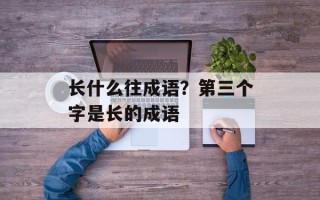 长什么往成语？第三个字是长的成语