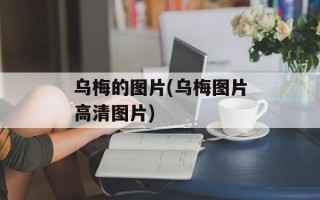 乌梅的图片(乌梅图片高清图片)