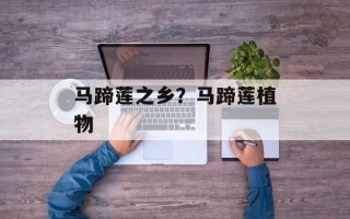 马蹄莲之乡？马蹄莲植物