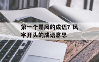 第一个是风的成语？风字开头的成语意思