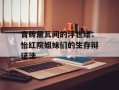 青砖黛瓦间的浮世绘：怡红院姐妹们的生存辩证法