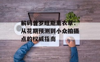 解码普罗旺斯薰衣草：从花期预测到小众拍摄点的权威指南