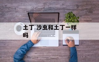 土丁 沙虫和土丁一样吗