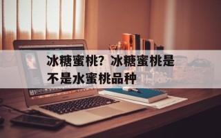 冰糖蜜桃？冰糖蜜桃是不是水蜜桃品种