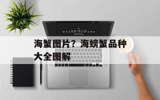 海蟹图片？海螃蟹品种大全图解