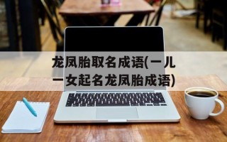 龙凤胎取名成语(一儿一女起名龙凤胎成语)