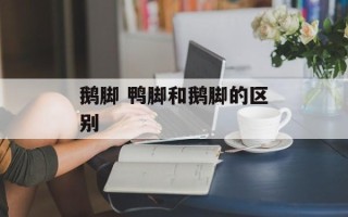 鹅脚 鸭脚和鹅脚的区别