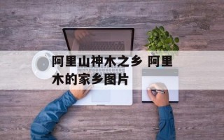 阿里山神木之乡 阿里木的家乡图片