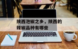 陕西泡椒之乡，陕西的辣椒品种有哪些