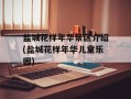 盐城花样年华景区介绍(盐城花样年华儿童乐园)