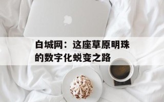 白城网：这座草原明珠的数字化蜕变之路