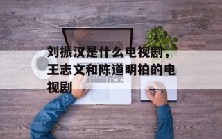 刘振汉是什么电视剧，王志文和陈道明拍的电视剧