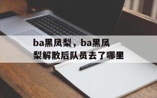 ba黑凤梨，ba黑凤梨解散后队员去了哪里