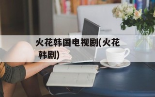 火花韩国电视剧(火花 韩剧)