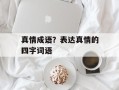 真情成语？表达真情的四字词语